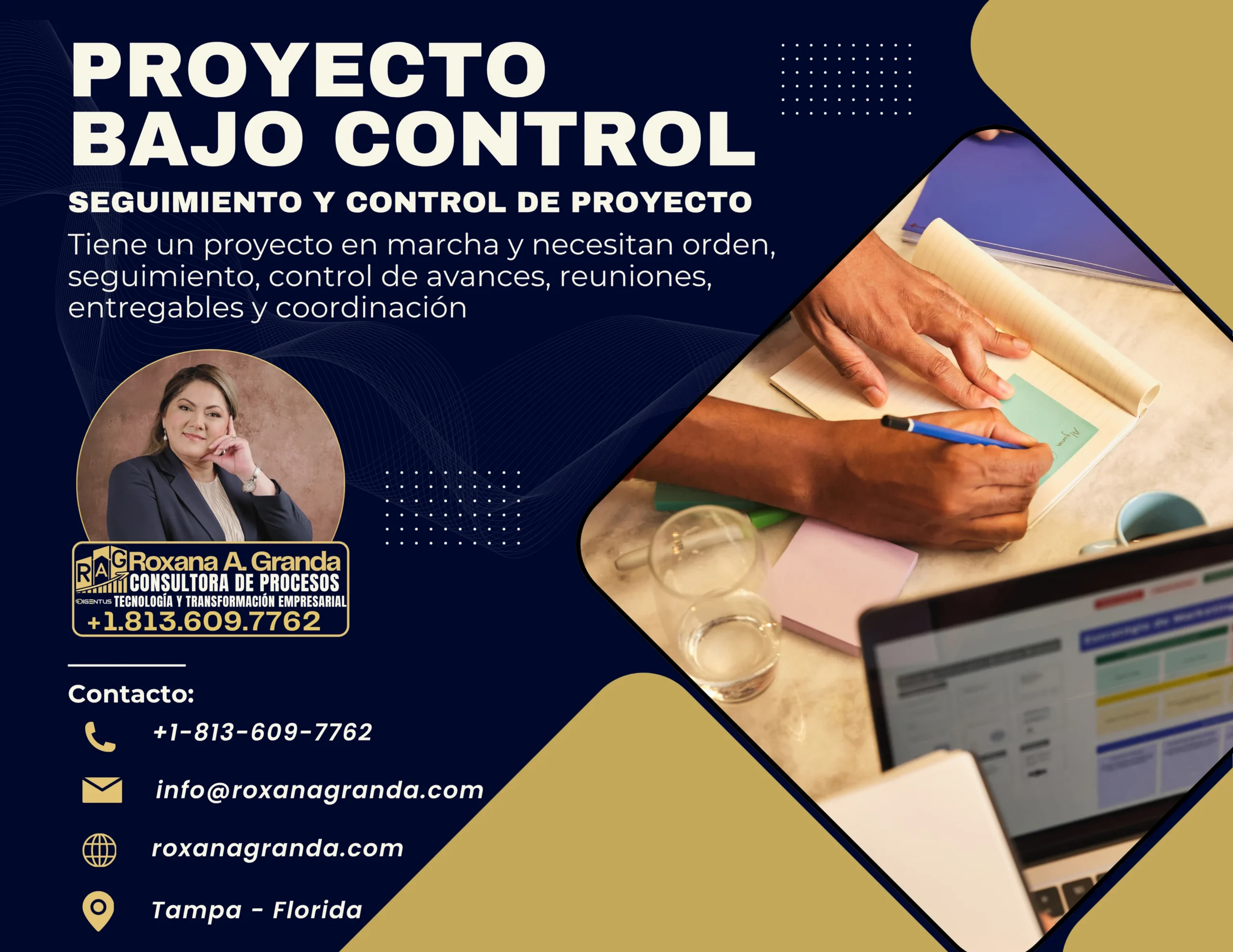 Proyecto Bajo Control